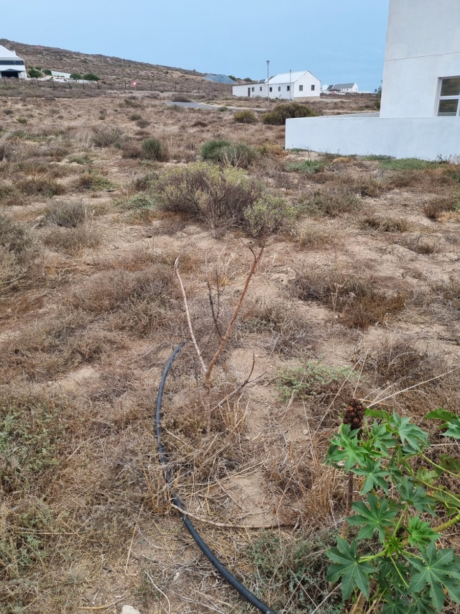 3 Bedroom Property for Sale in St Helena Views Western Cape
